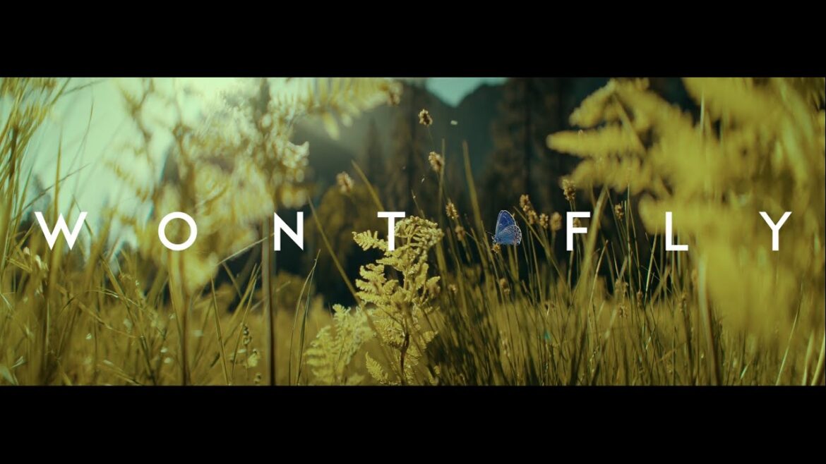 Jon Keith – WONT FLY